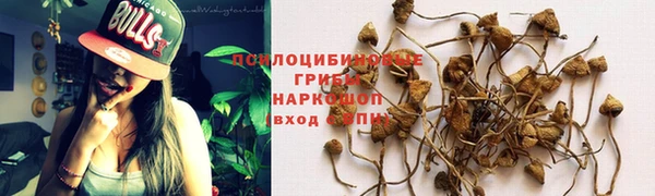 ALPHA PVP Зеленокумск