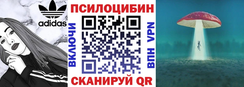 Псилоцибиновые грибы мицелий  Купить закладки  Валуйки 